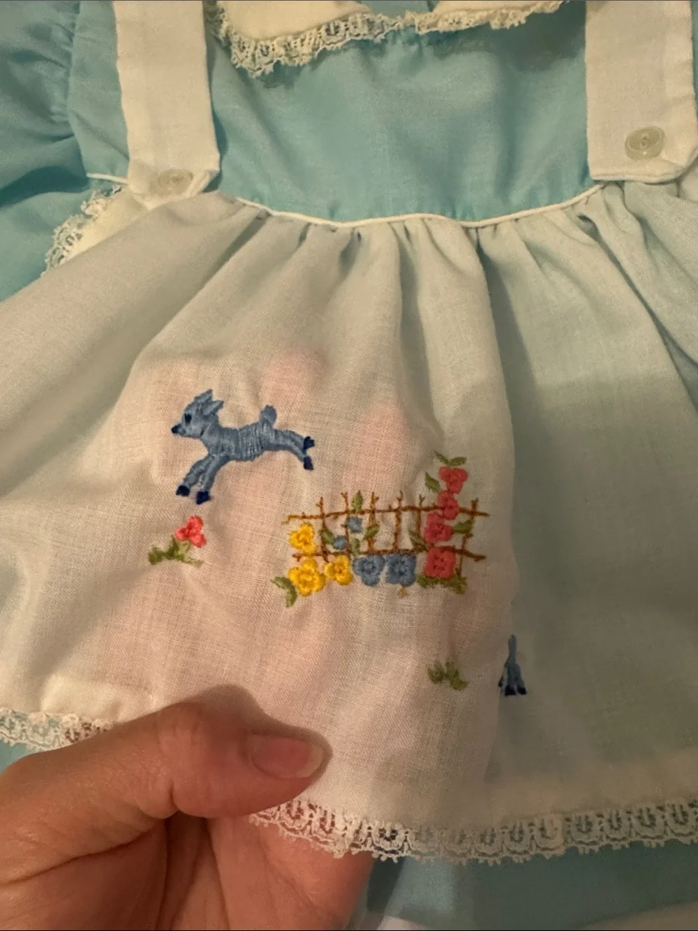 Vintage Blue and Pink Newborn Tops Embroidered Set